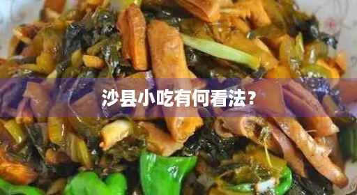 沙县小吃有何看法？