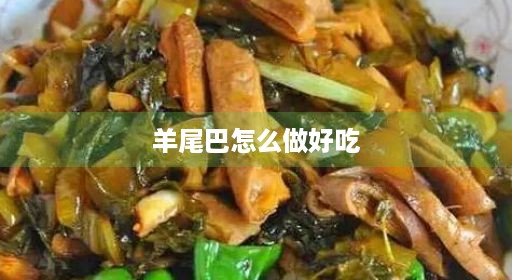 羊太肥最佳图解红烧做法做法吃法绵羊煲汤不腻羊尾巴最佳肥肉羊尾油视频做好肥肉肥肉家常清炖多久好吃太肥吃牛尾绵羊炖好吃羊怎么羊蛋羊蛋红烧做法多久煲汤好吃做好尾巴吃