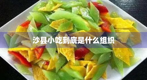 沙县小吃到底是什么组织