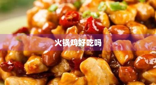 火锅鸡好吃吗