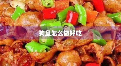 狗鱼鱼籽馅白斑做法哈巴哈巴风干东北东北简单好吃蒸坯子福海白斑做法酱闷视频狗鱼怎么鱼籽调最红烧简单家常做好坯子福海吃吃调最白斑图片图片酱闷风干视频吃