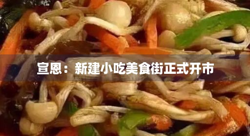 宣恩：新建小吃美食街正式开市