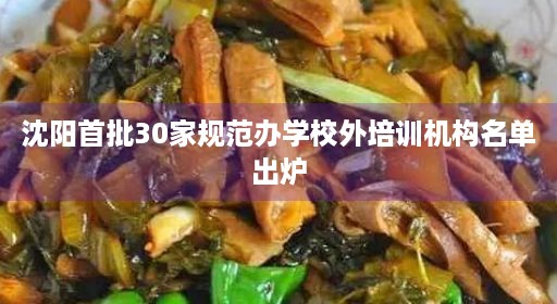 沈阳首批30家规范办学校外培训机构名单出炉