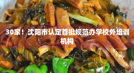 30家！沈阳市认定首批规范办学校外培训机构