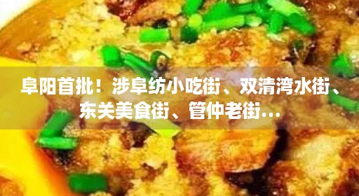 阜阳首批！涉阜纺小吃街、双清湾水街、东关美食街、管仲老街…