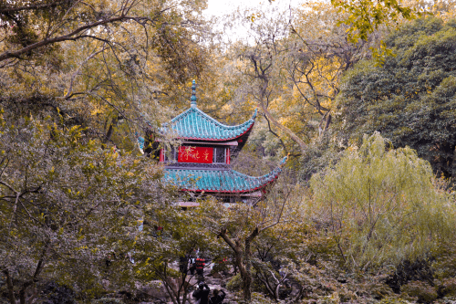 登岳麓山记：河山大好，秋意浓