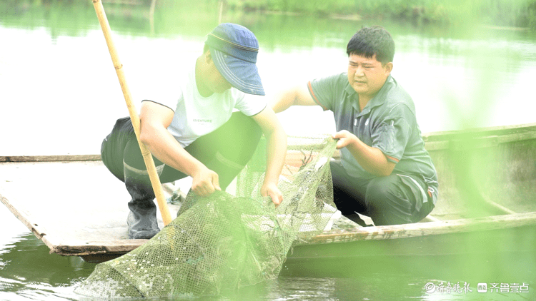 不止菏泽钓鱼牡丹，微山湖大闸蟹等98万单大闸蟹山东土特产大不春运到全国