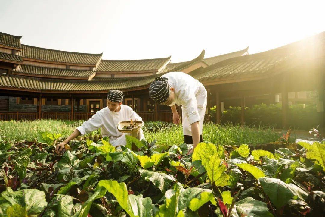 两晚特惠！全国仅此一家的六善，山水有灵避世疗愈，在人间仙境get顶级奢华度假体验