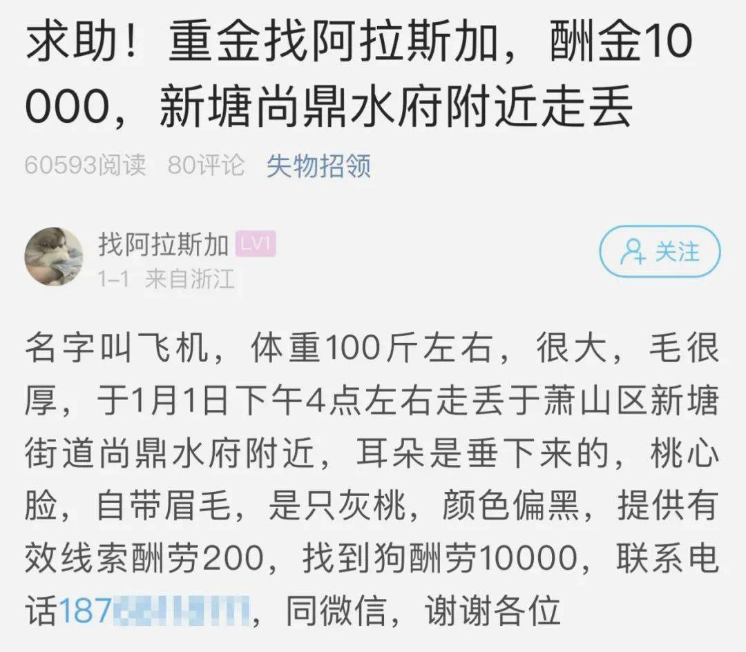 萧山网友悬赏10000元找狗，后续来了！