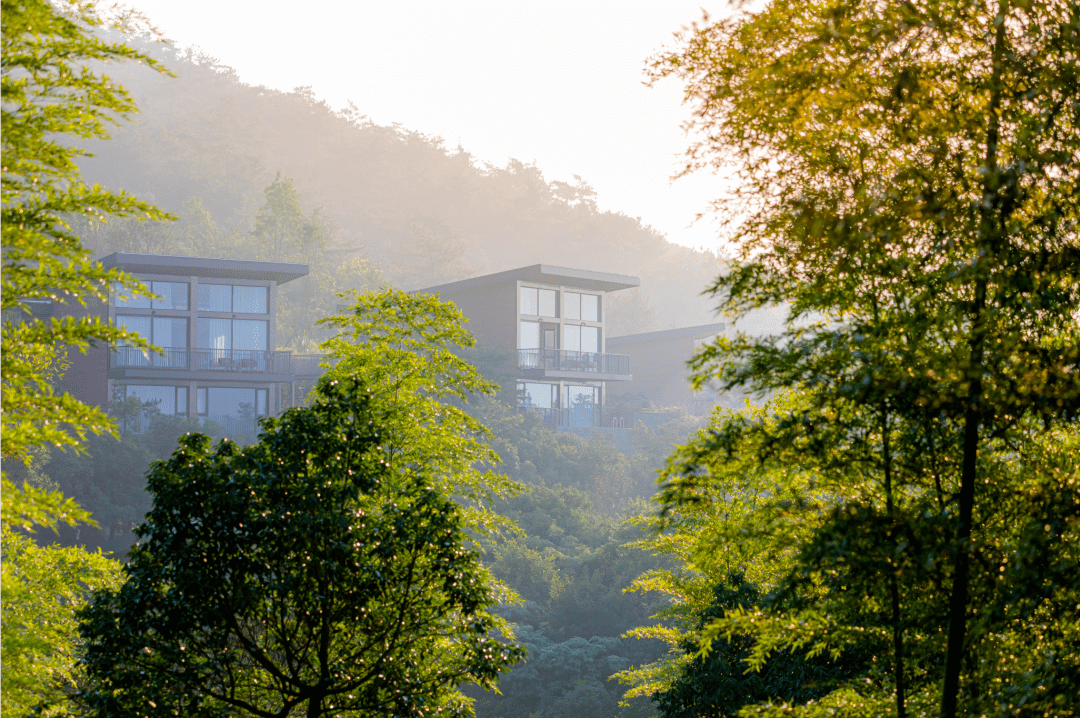 周末不加价！人均300住进避世小众秘境，山水竹林、森林树屋、悬浮泳池，遇见心中的静谧之地！