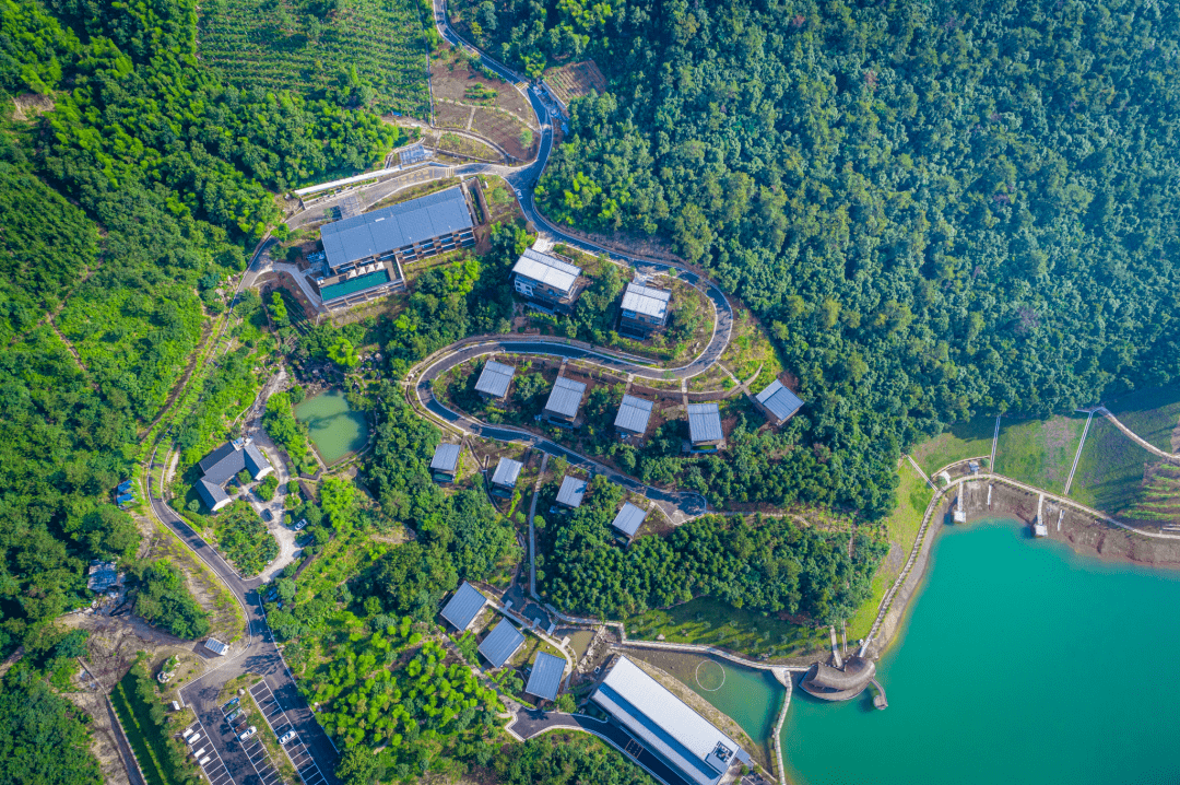 周末不加价！人均300住进避世小众秘境，山水竹林、森林树屋、悬浮泳池，遇见心中的静谧之地！