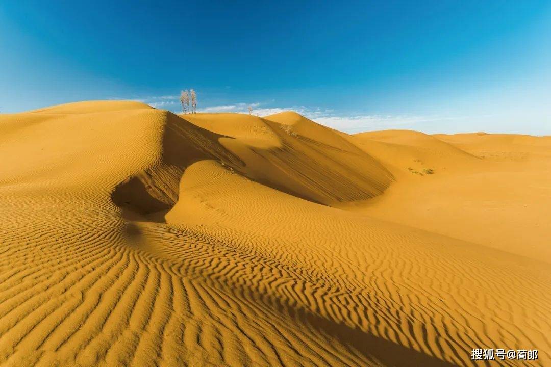 又土又燃的《山海情》取景地神秘的北纬37°这个最江南的西北宝地