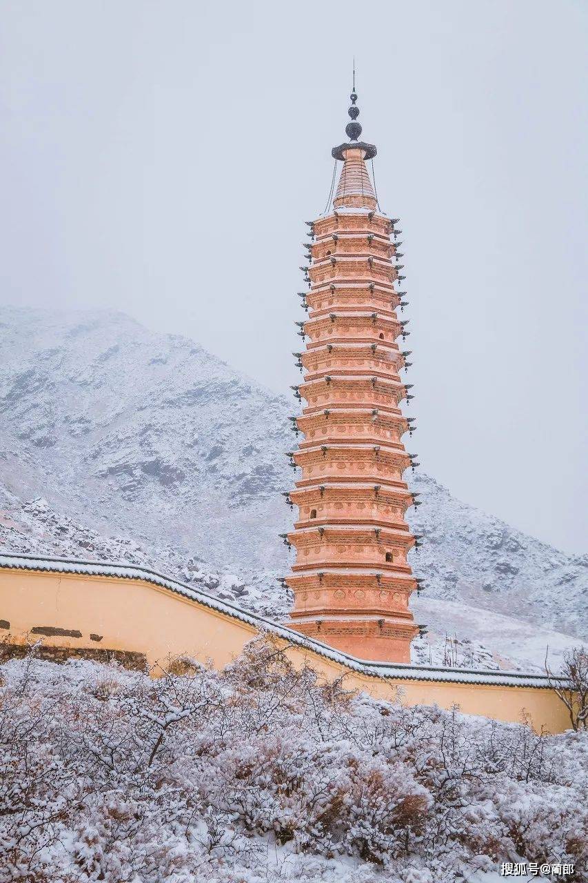 又土又燃的《山海情》取景地神秘的北纬37°这个最江南的西北宝地