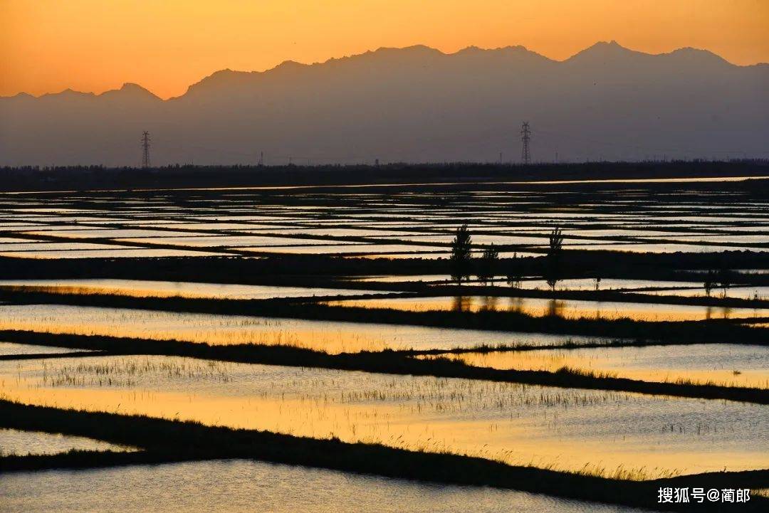 又土又燃的《山海情》取景地神秘的北纬37°这个最江南的西北宝地