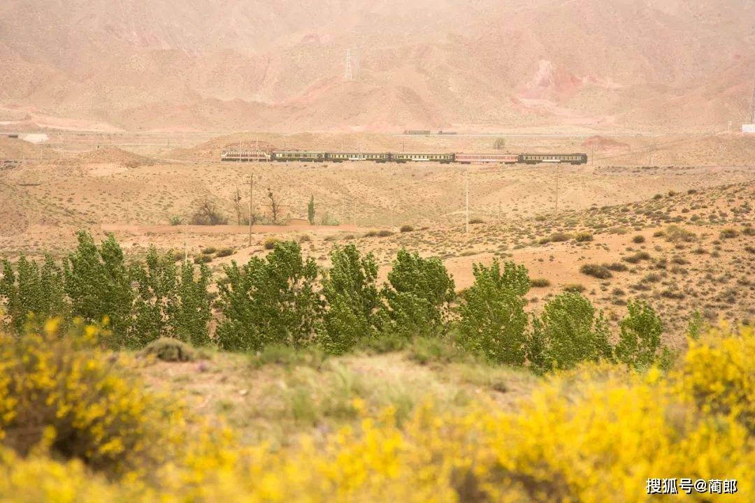 又土又燃的《山海情》取景地神秘的北纬37°这个最江南的西北宝地