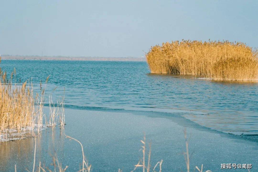 又土又燃的《山海情》取景地神秘的北纬37°这个最江南的西北宝地