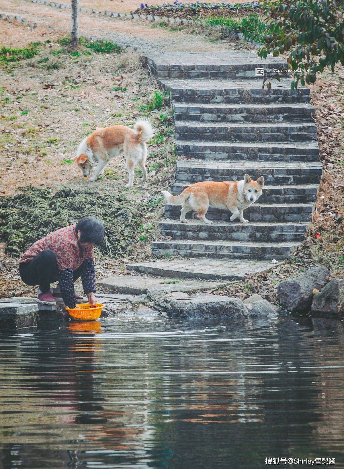 不愧是江苏五星级乡村旅游区！这座800年古村，景美人少美食多