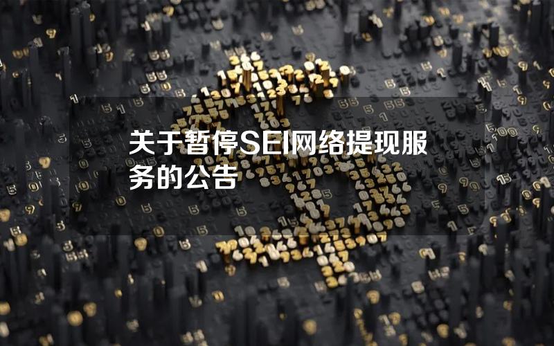 关于暂停 SEI  网络提现服务的公告