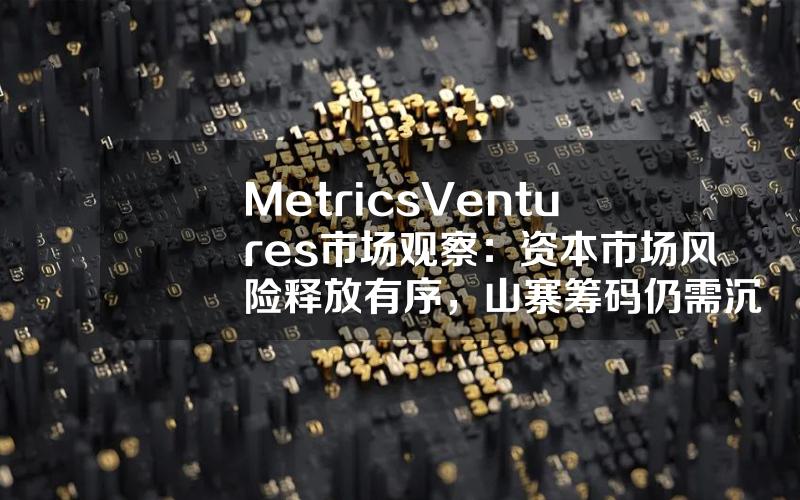 Metrics Ventures 市场观察：资本市场风险释放有序，山寨筹码仍需沉淀