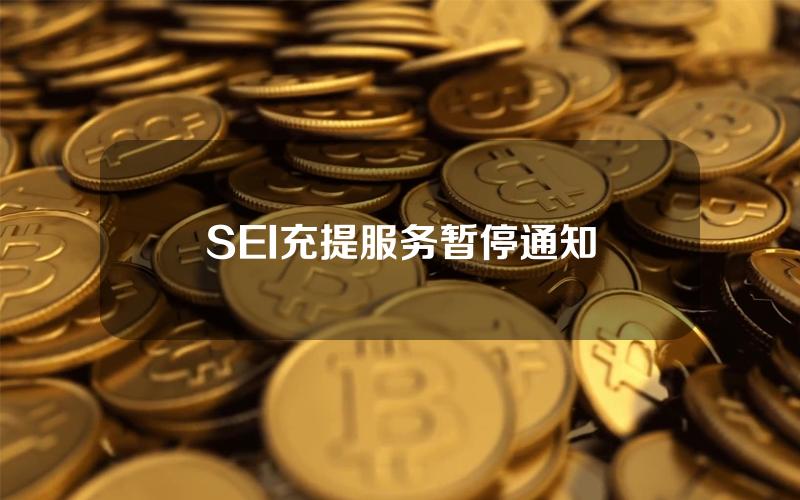 SEI 充提服务暂停通知